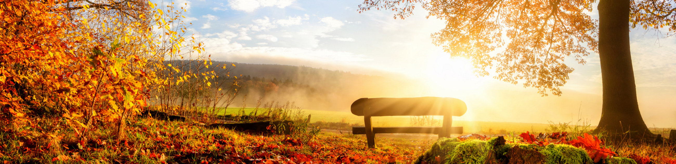Fotolia_90070606_Subscription_Monthly_M